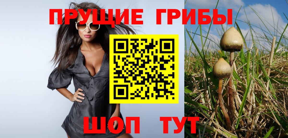 Борисоглебск  Галлюциногенные грибы ЛСД  Вход с VPN  Псилоцибиновые грибы мицелий 